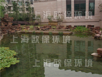 清水养鱼,清澈见底景观水池,景观鱼池治理,景观水治理 清水养鱼,清澈见底景观水池,景观鱼池治理,景观水治理