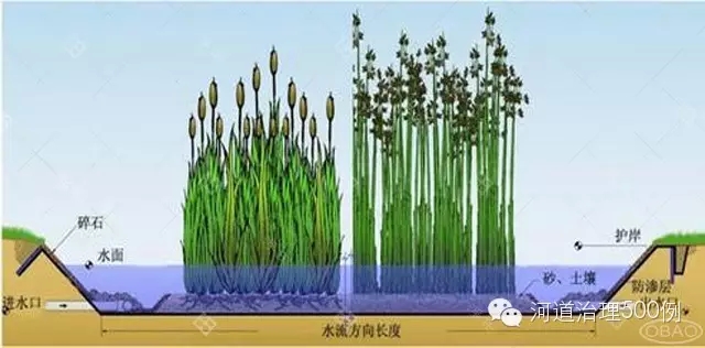 表面流湿地示意图 表面流湿地示意图
