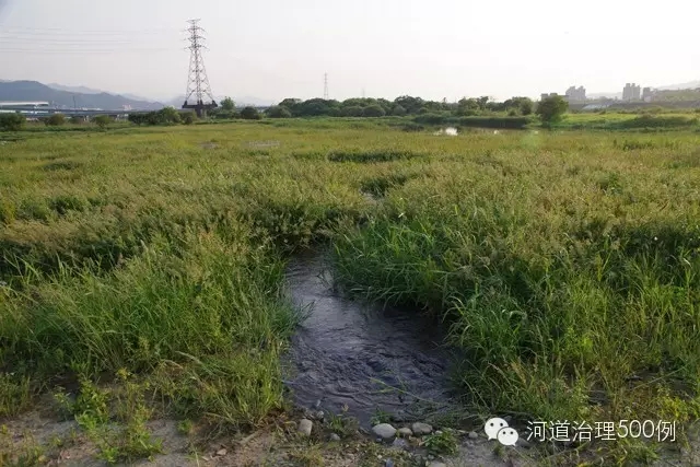 第一密植种植区 第一密植种植区