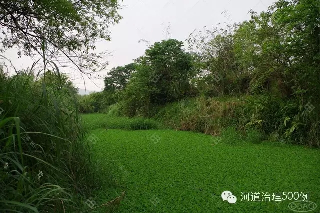 开放水域 开放水域