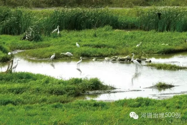 生态池 生态池