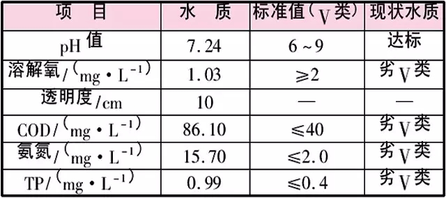 虾龙圩治理段水质监测结果与分析 虾龙圩治理段水质监测结果与分析