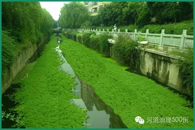 这样满河布置,合适吗? 这样满河布置,合适吗?