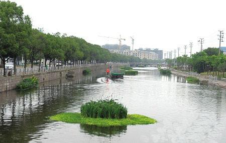 加大整治力度 改善河道生态环境 加大整治力度 改善河道生态环境