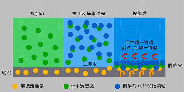 除磷剂的主要成分,Phoslock®除磷剂 除磷剂的主要成分,Phoslock®除磷剂