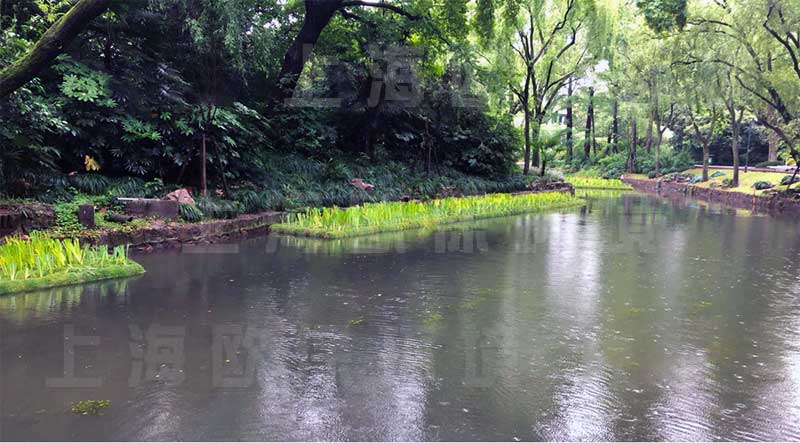 浮田型漂浮湿地（浮动湿地）应用于河道&mdash;&mdash;植物覆盖面大，水生植物实现全覆盖